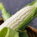 White Sweet Corn - (-300g)