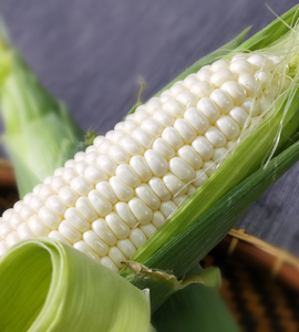 White Sweet Corn - (-300g)