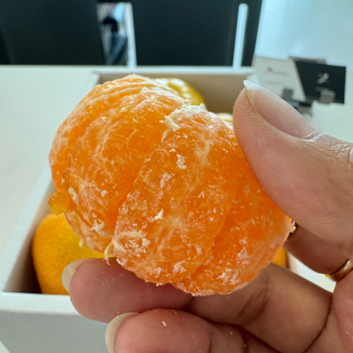 [Pre-Order] ORIGINAL WHOLESALE BOX - JAPANESE MIKAN / 1 box, 5kg