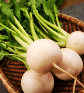 Kabu (Turnip) - (-400g)