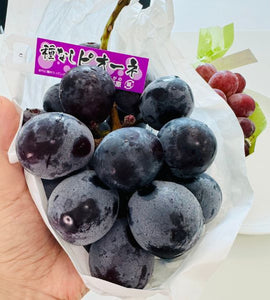 [Pre-Order] Pione Grape ピオーネ / 500-600g