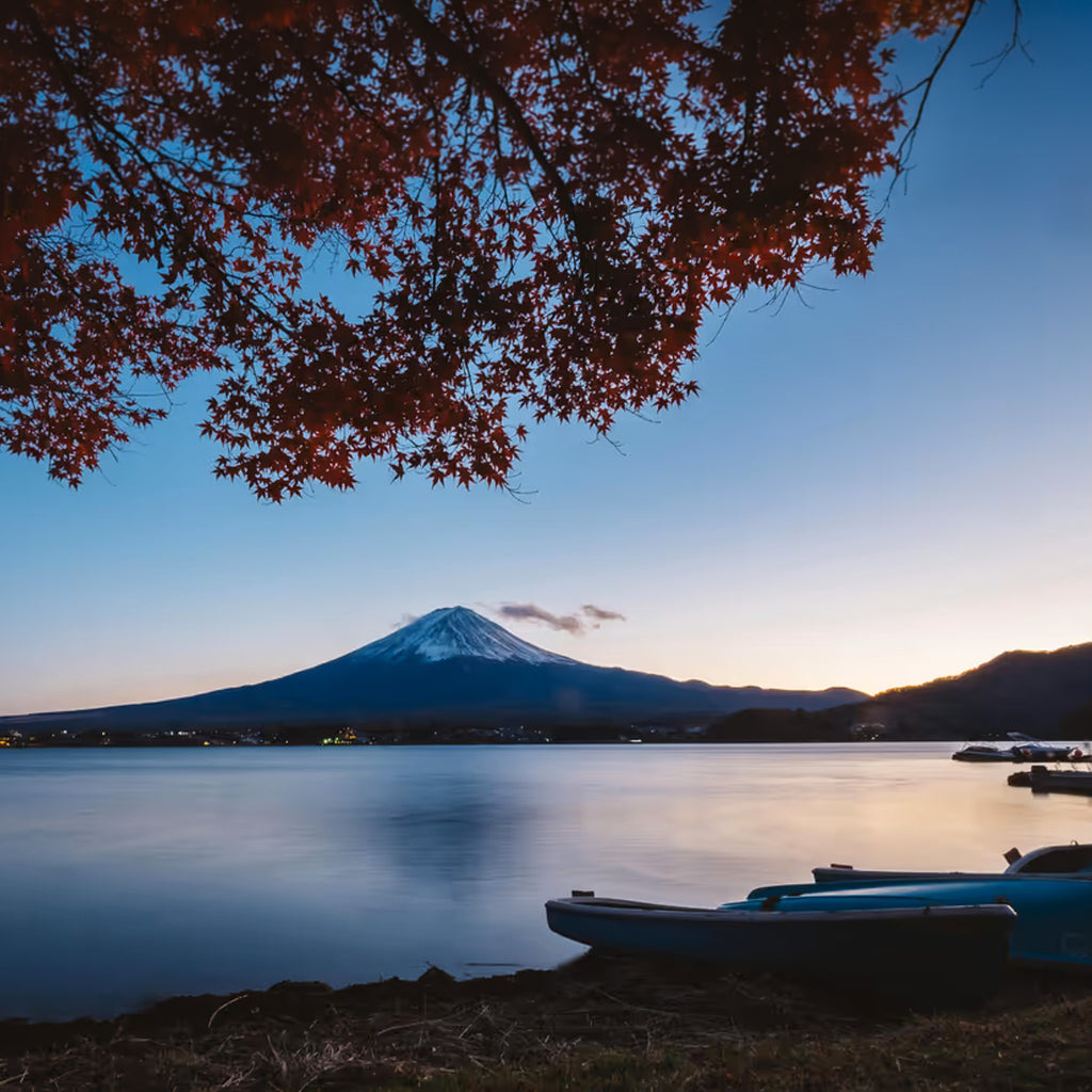 Mt. Fuji Private Day Trip from Tokyo (9 hours)