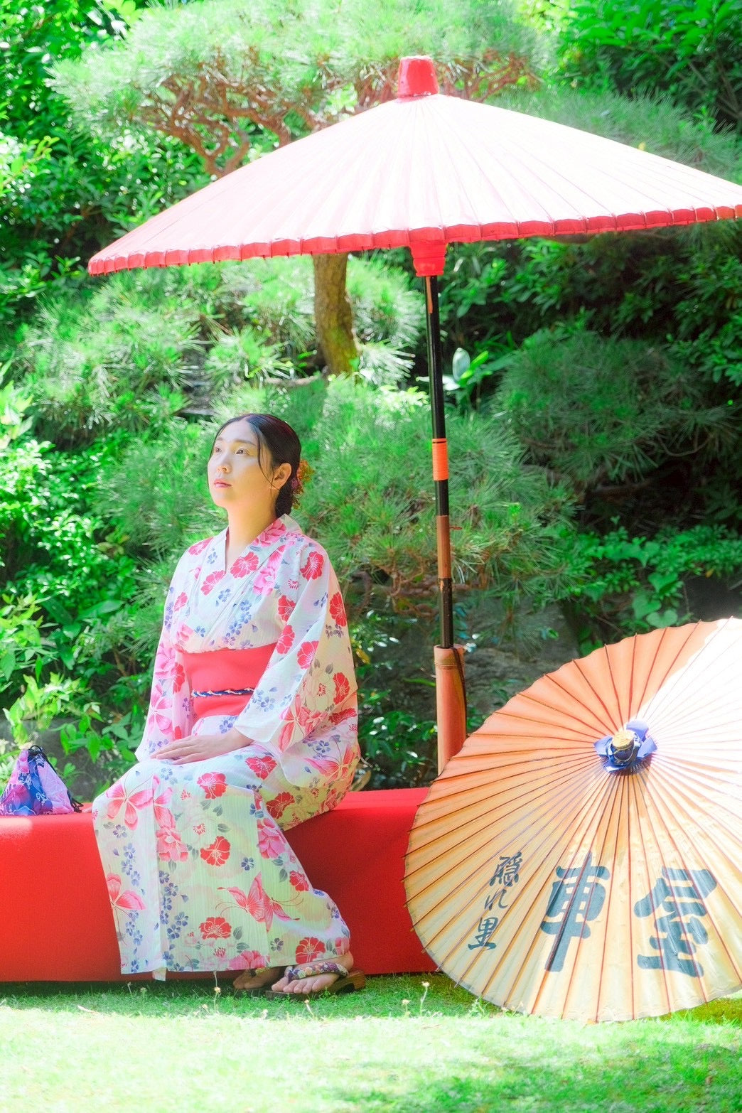 A Day in a Japanese Garden v2