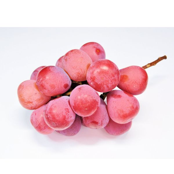 [Pre-Order] Queen Nina Grape クイーンニーナ / 500-600g