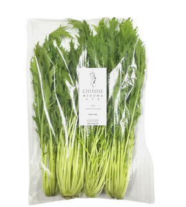 Mizuna (Roquette) - 200g