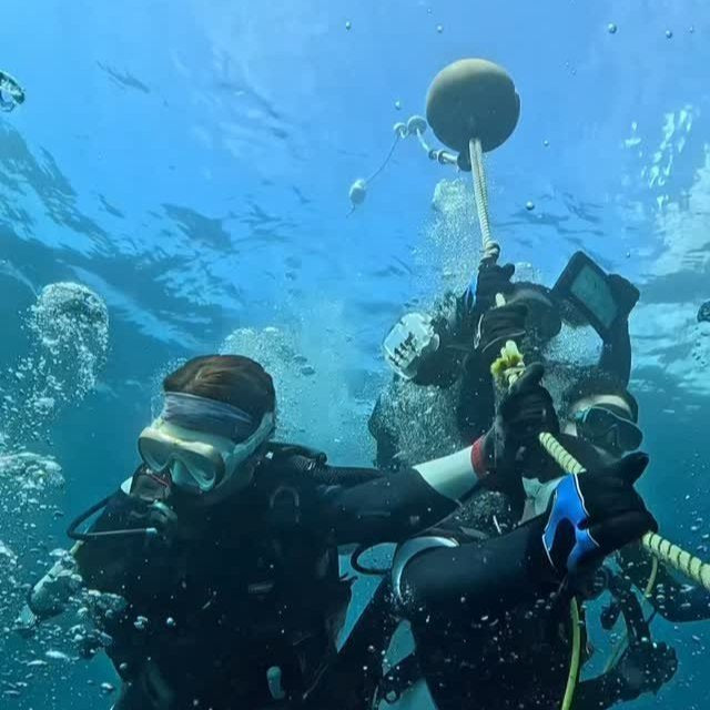 A Diving Day in Izu tour