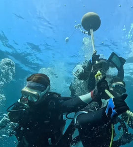 A Diving Day in Izu tour