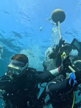 A Diving Day in Izu tour