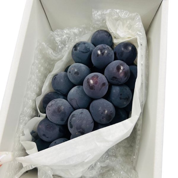 [Pre-Order] Pione Grape ピオーネ / 500-600g