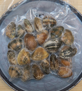 Asari Short Neck Clam (400g)