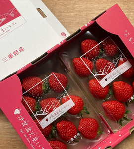 [Pre-Order] Iga Do-dan Strawberry '伊賀満天星いちご' / 0.5kg, 2packs