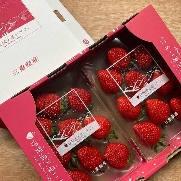 [Pre-Order] Iga Dodan Strawberry '伊賀満天星いちご' / 0.5kg, 2packs