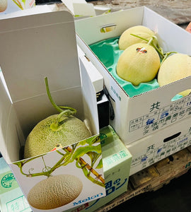 [Pre-Order] Hokkaido Red Melon 北海道赤肉メロン / 1.3kg, 1 piece