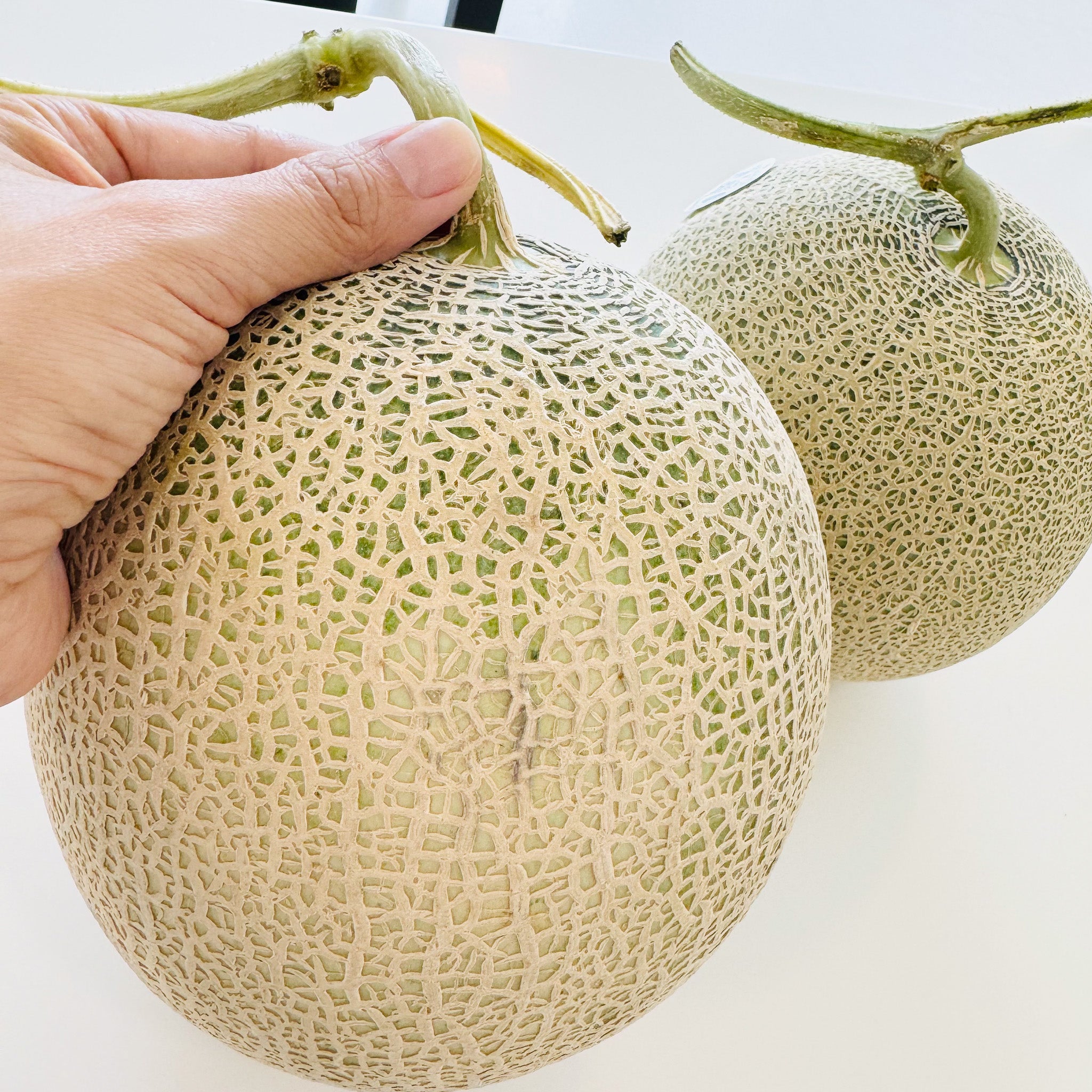 [Air Express] Melon Earls Red - 1.2-1.5kg/pc