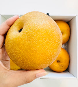 [Pre-Order] Kousui Pear in Gift Box 幸水梨(化粧箱) / 1 box, 6-7 pieces