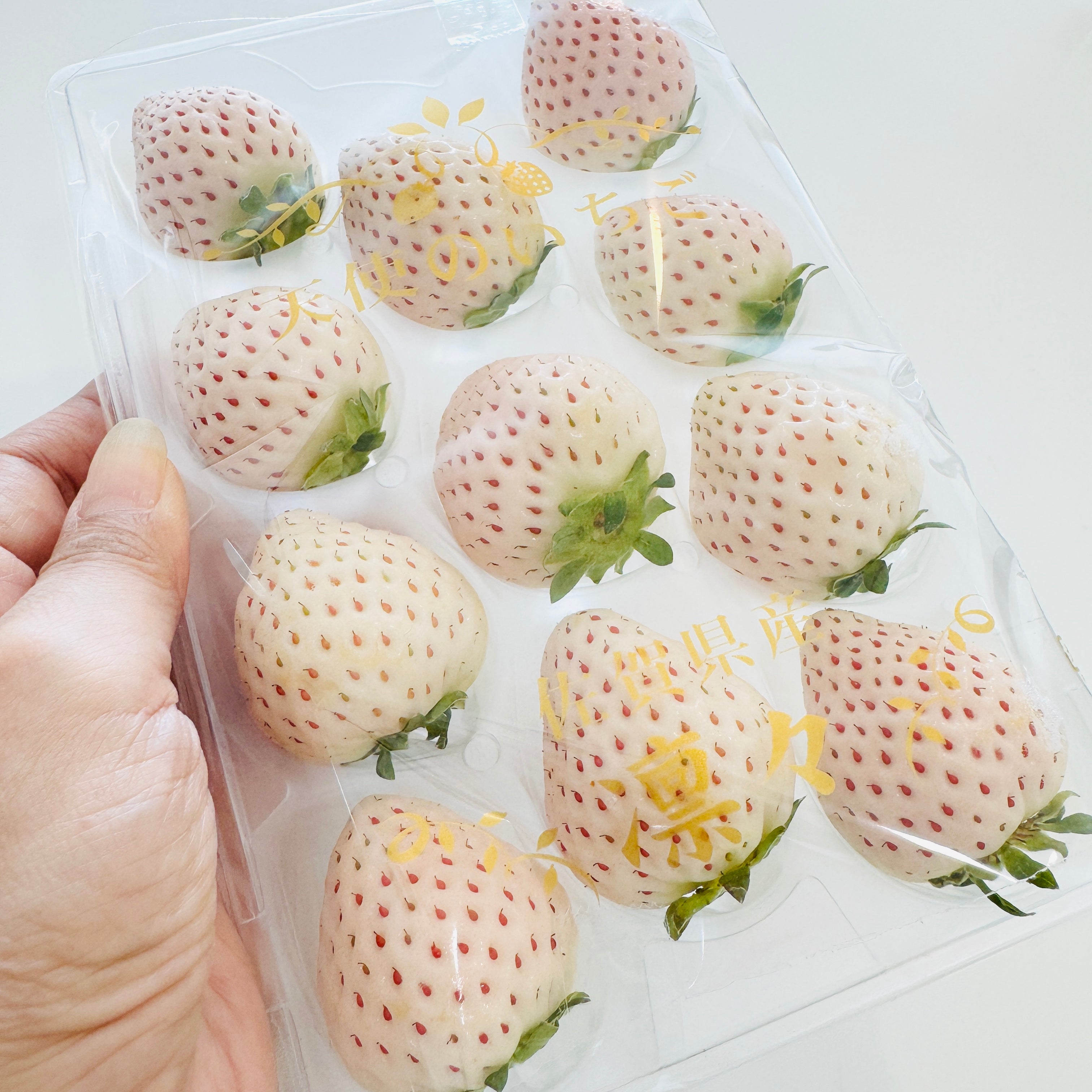 [Pre-Order] Japanese White Strawberry　/ 0.5 kg, 2 packs