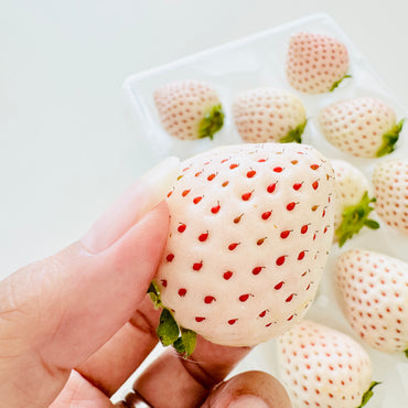 [Pre-Order] Japanese White Strawberry　/ 0.5 kg, 2 packs