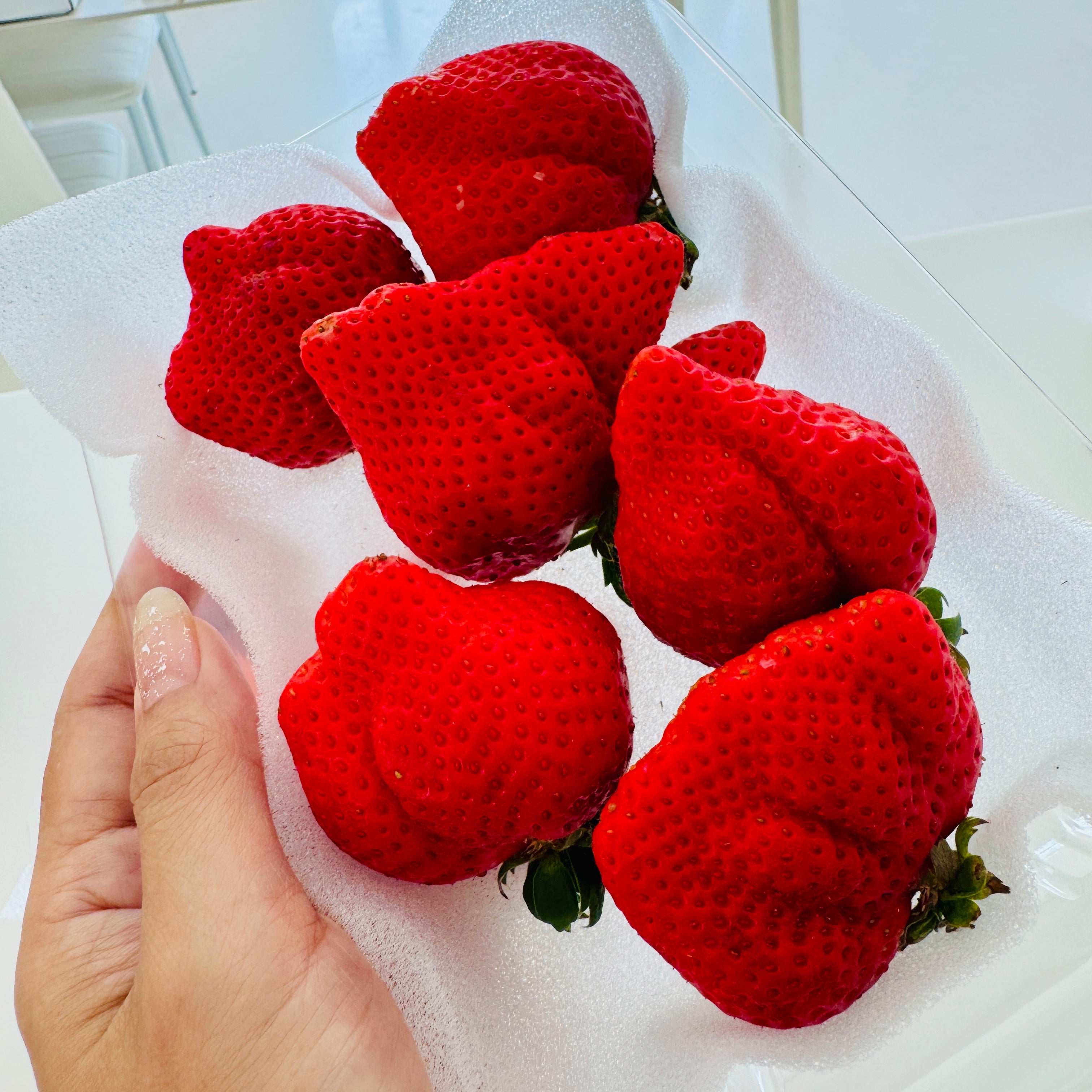 [Pre-Order] Japanese Strawberry 'AMAOU'  あまおう / 0.5 kg, 2 packs