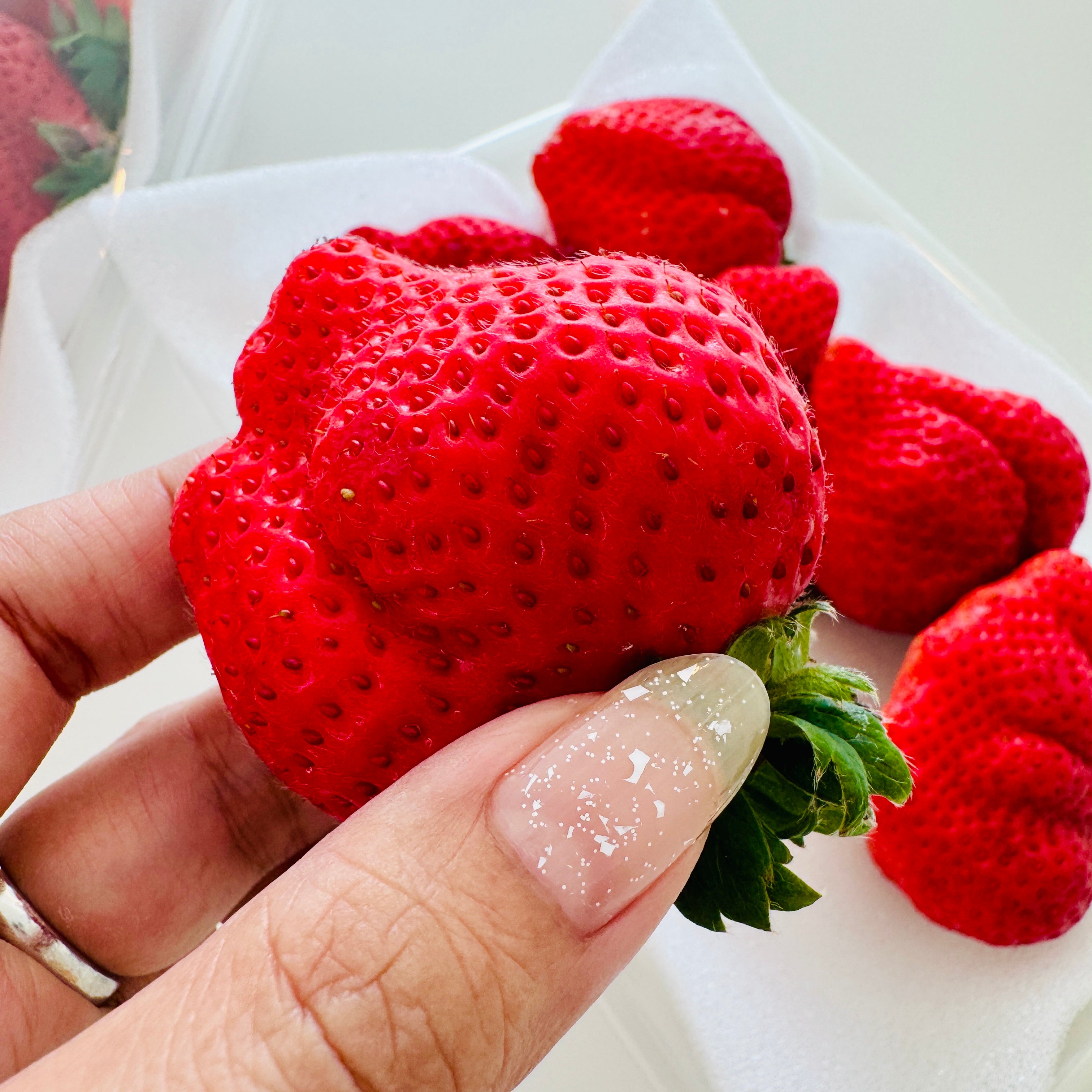 [Pre-Order] Japanese Strawberry 'AMAOU'  あまおう / 0.5 kg, 2 packs