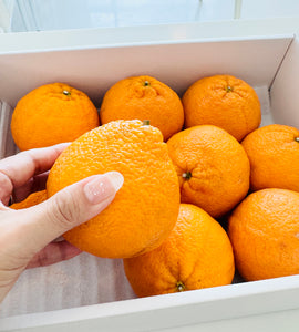 [Pre-Order] DEKOPON デコポン / 8-12 pieces / 3kg