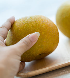 [Air Express] Shiroi Pears — 白井の梨 (Chiba, Japan) ±400g×2pc/pkt