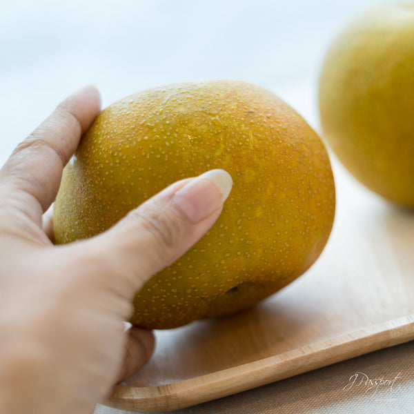 [Air Express] Shiroi Pears — 白井の梨 (Chiba, Japan) ±400g×2pc/pkt