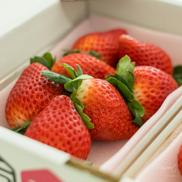 [Air Express] Japanese Strawberry “Tochiaika” — 6–9 pcs (250g × 2 packs)
