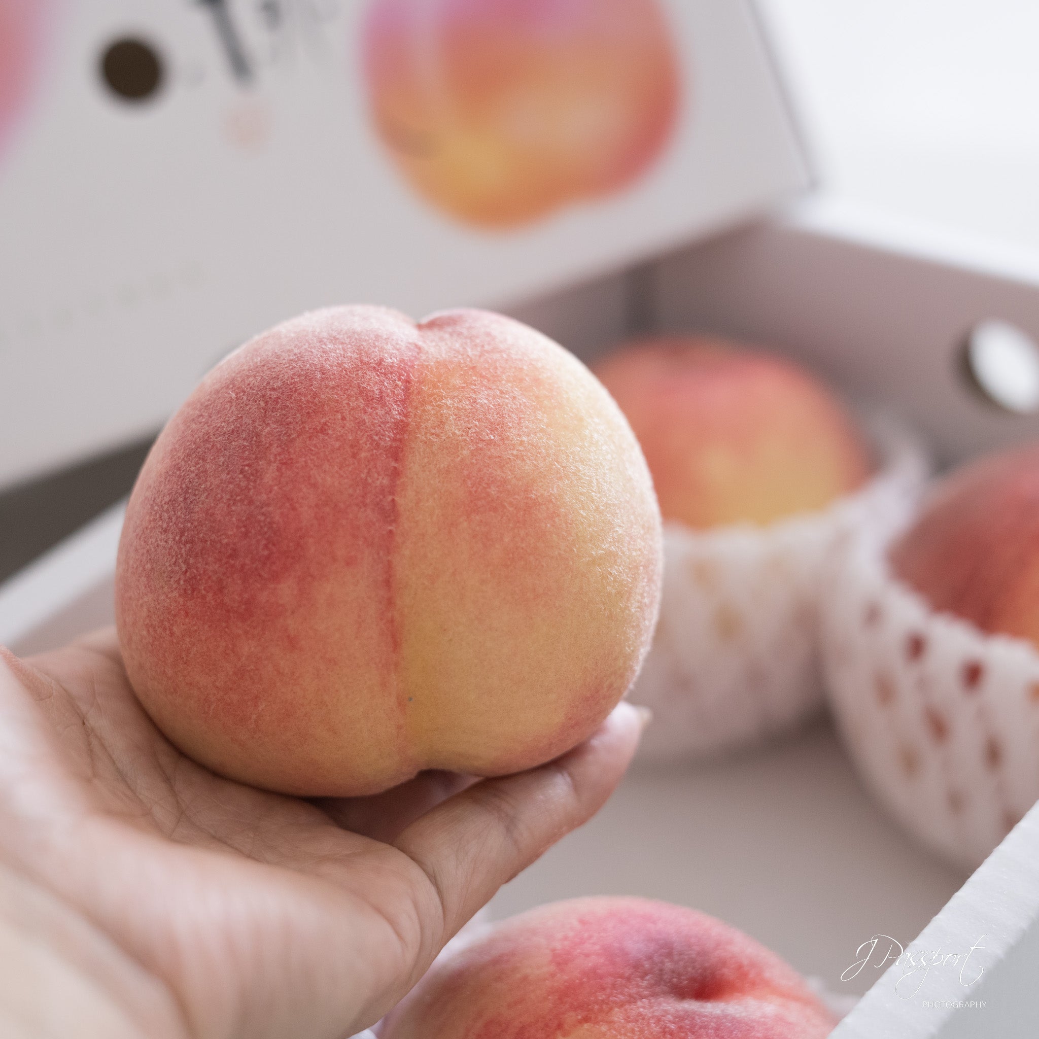[Air Express] Fukuoka Premium Peach Gift Box (Akashu Grade) | Approx. 1kg (4–5 Peaches)