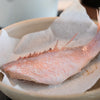 Japanese Akauo Kasuzuke (Marinated in Sake Lees)