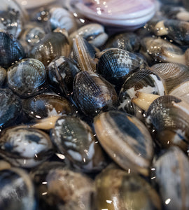 Japanese BABY Asari Clams (Pre-purged & Frozen) -  300–320g