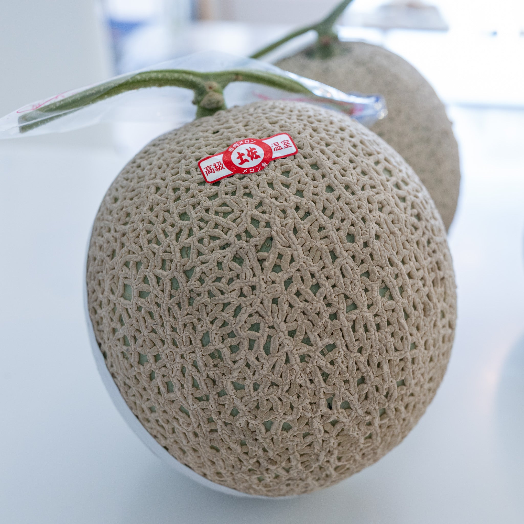 [Air Express] Melon Earls Red - 1.2-1.5kg/pc