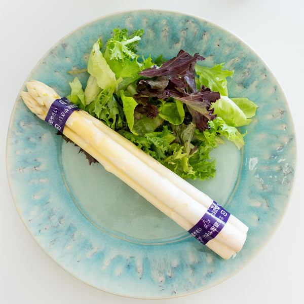 Hokkaido White Asparagus - 150g (3-4p)