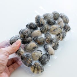 Japanese BABY Asari Clams (Pre-purged & Frozen) -  300–320g