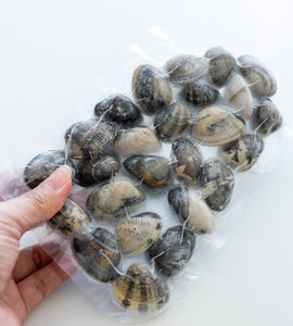 Japanese BABY Asari Clams (Pre-purged & Frozen) -  300–320g