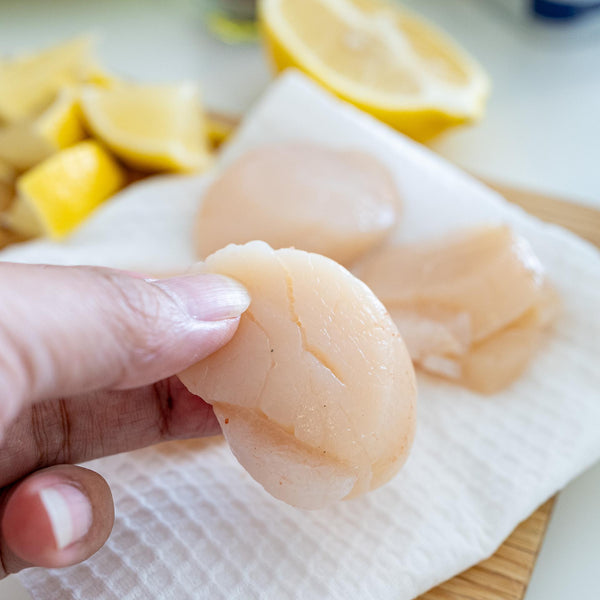 [Air Express] Hokkaido Scallop -1kg BOX / Sashimi Grade