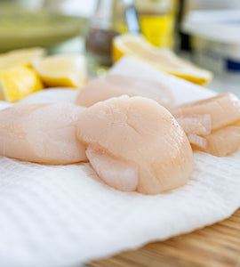 Hokkaido Scallop / Sashimi Grade -200–230g (Approx. 8–10 pieces)
