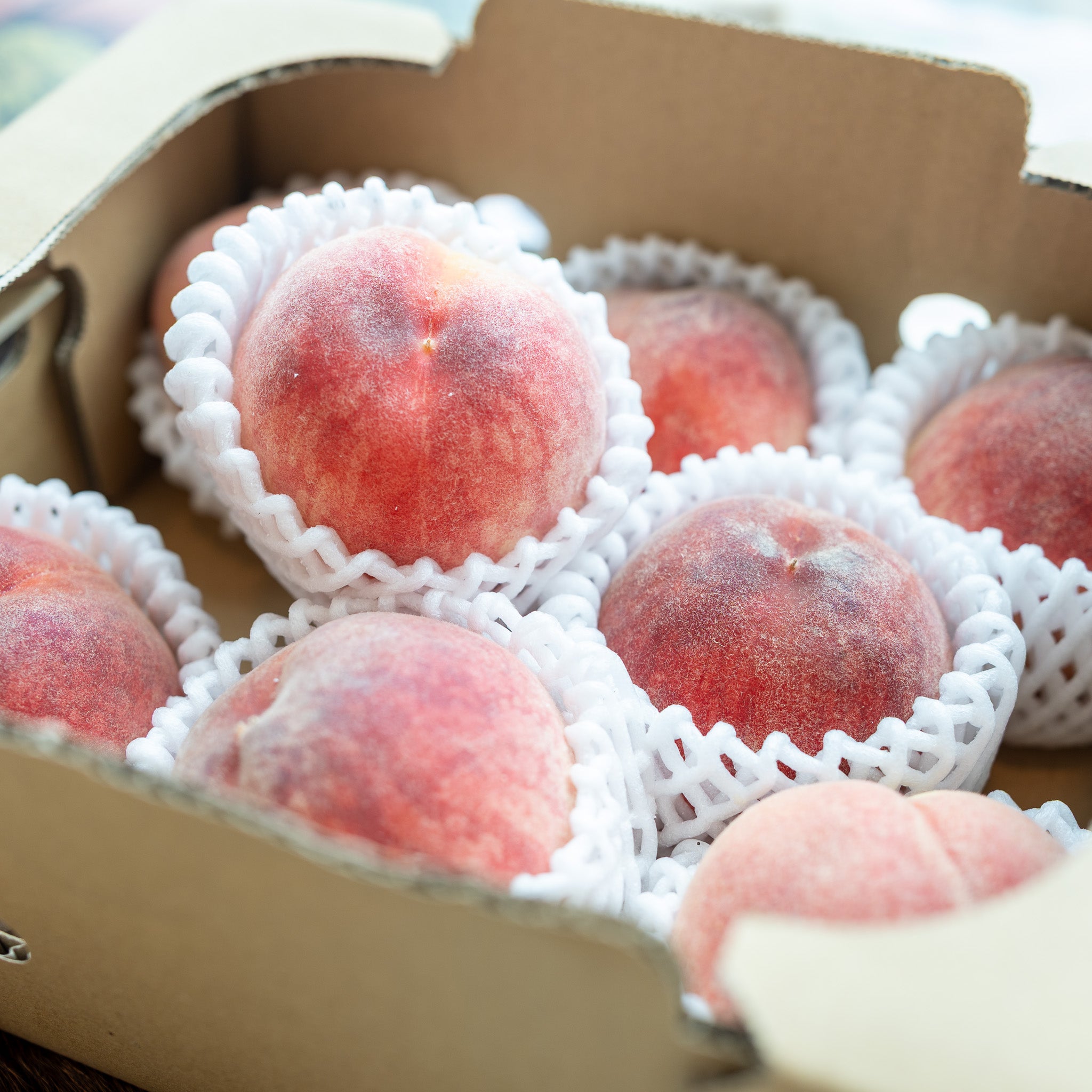 [Air Express] Yamanashi Peaches (Smaller, Hand-Picked Size) ±1.5kg (8–10 pcs/box)