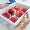 [Air Express] Kasugai Premium White Peach Gift Box (Premium/ 6pcs / ~1.4kg)