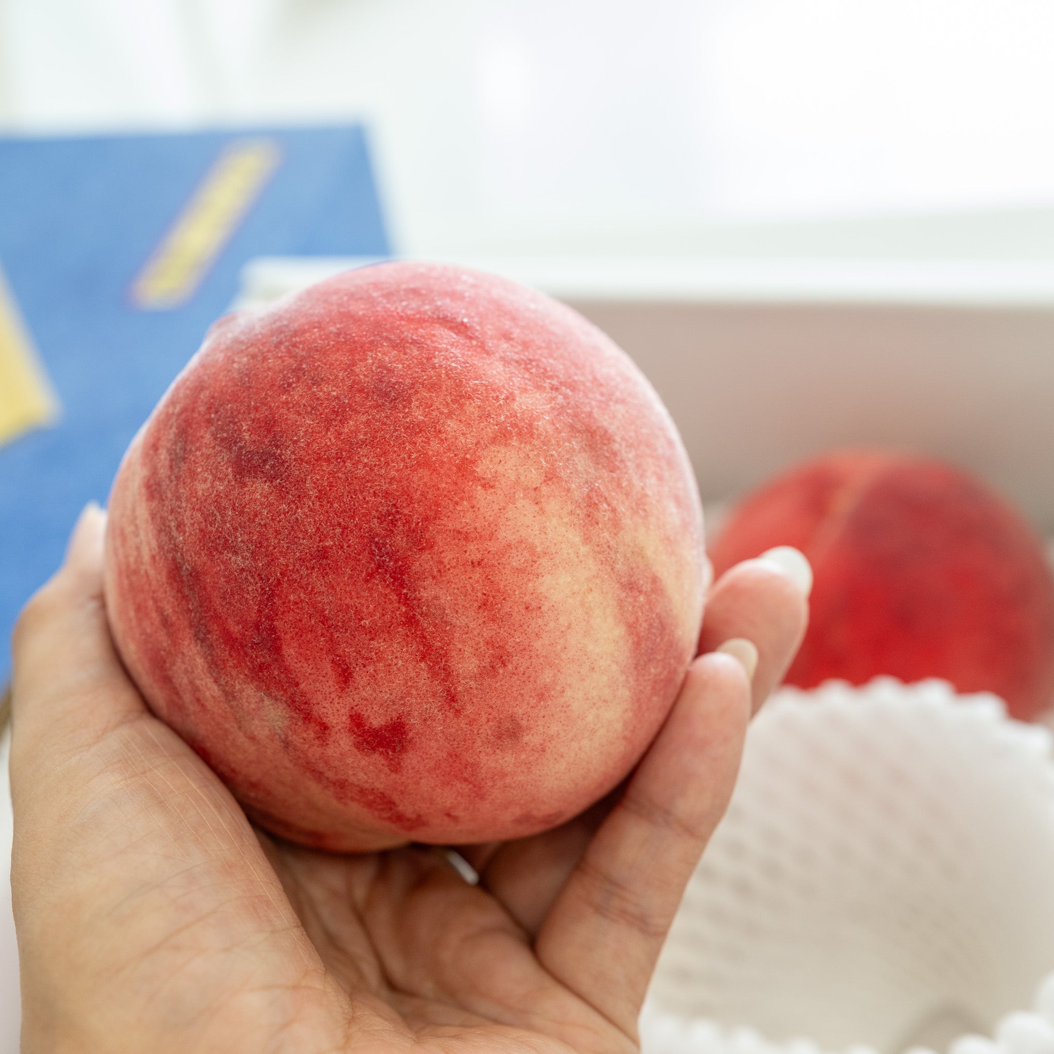 [Air Express] Kasugai Premium White Peach Gift Box (Premium/ 6pcs / ~1.4kg)