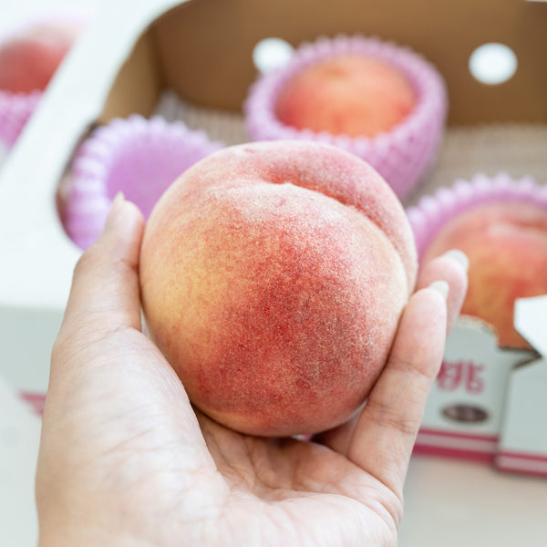 [Air Express] Yamanashi Goshō Pink Peaches ±1.5kg (5–7 pcs/box)