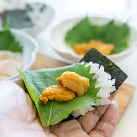 Frozen Ezo Bafun Uni (蝦夷馬糞雲丹) – Hokkaido Rebun & Rishiri – 80g