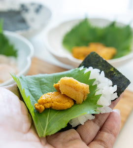 Frozen Ezo Bafun Uni (蝦夷馬糞雲丹) – Hokkaido Rebun & Rishiri – 80g