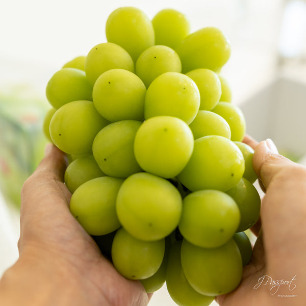 [Air Express] Japanese Premium Shine Muscat — ±700g/pkt (Gift Box)