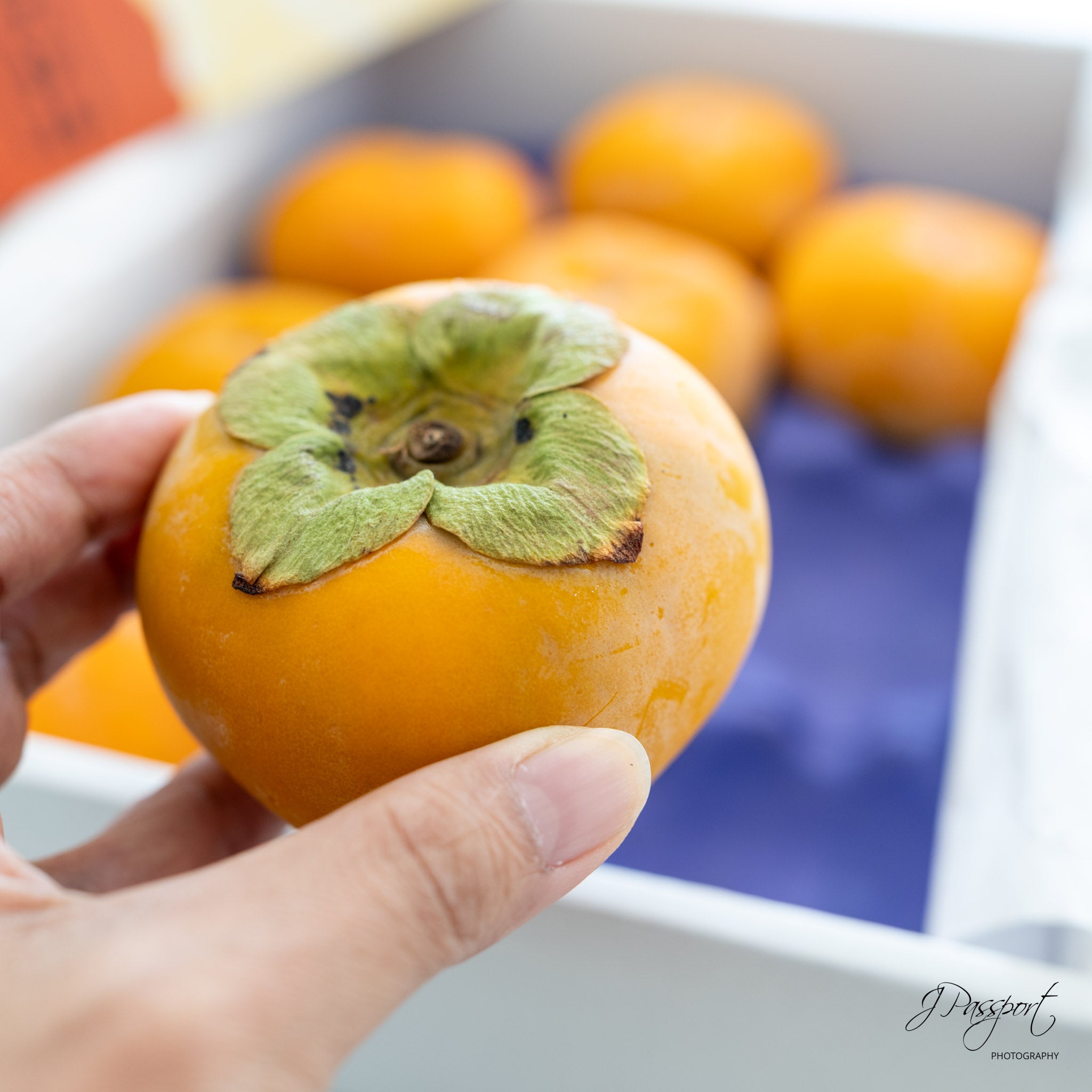 [Air Express] Japanese Premium Persimmons — 7–9pc/box (Gift Box)