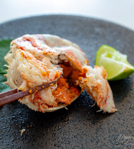 Hokkaido Oozuwaigani Crab Shell — Koura-mori