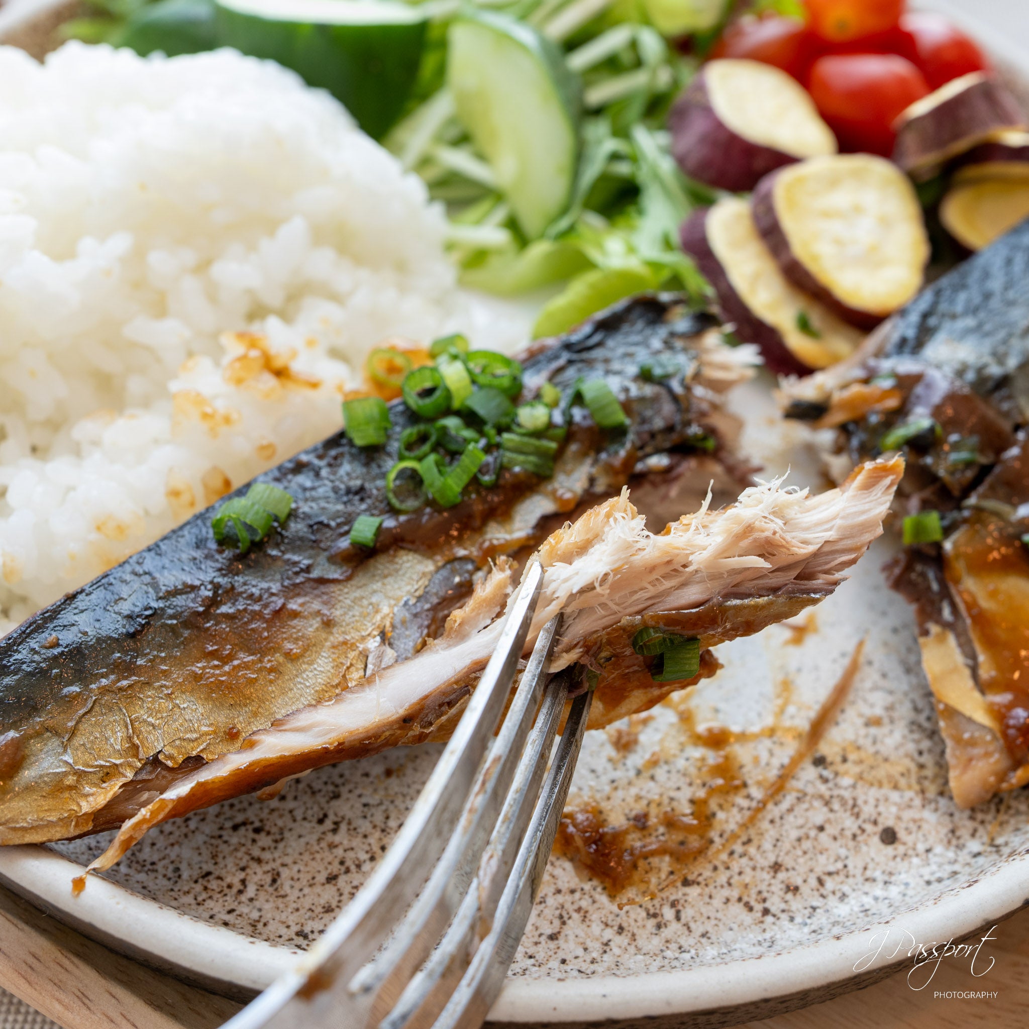 SABA MISONI (Miso-Simmered Mackerel)
