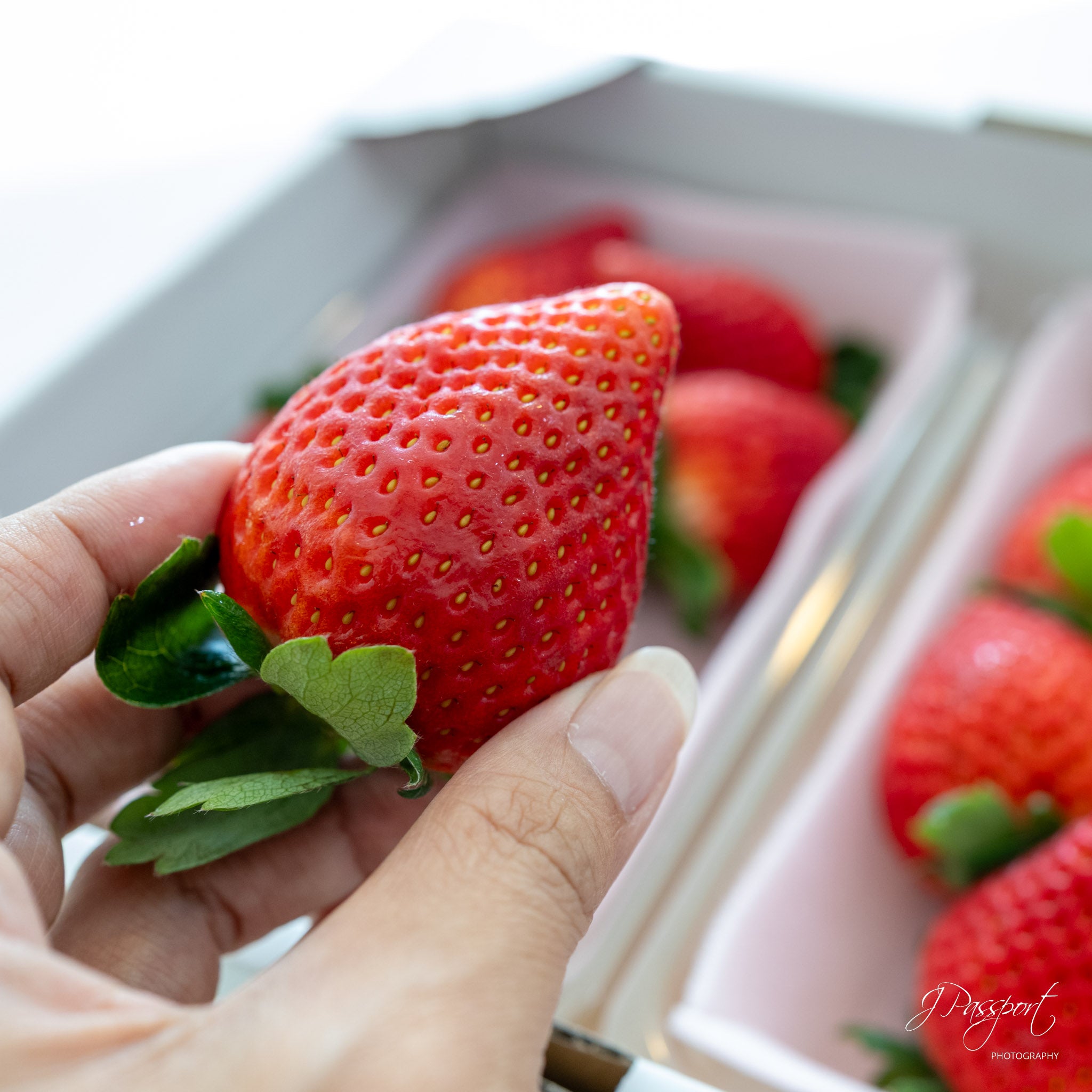 [Air Express] Japanese Strawberry “Tochiaika” — 6–9 pcs (250g × 2 packs)