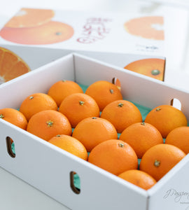 [Air Express] Beni-Madonna Gift Box 10-15pc ±3kg/box