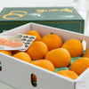 [Air Express] Setoka — “The Otoro of Citrus” Gift Box 10–15 pcs | ±3kg