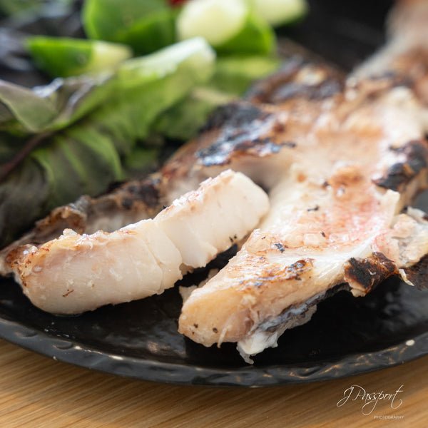 Japanese Akauo Kasuzuke (Marinated in Sake Lees)